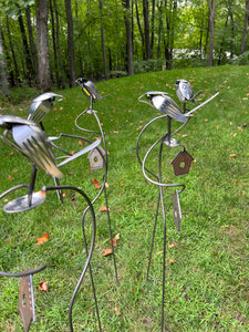 Brew Birds