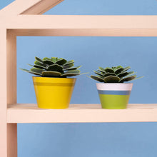 Load image into Gallery viewer, Make Your Own Mini Paper Succulent Plant