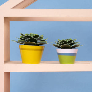 Make Your Own Mini Paper Succulent Plant
