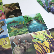 Load image into Gallery viewer, Ecosystem - A Habitat Building Card Game