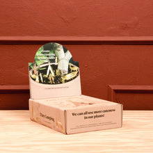 Load image into Gallery viewer, Tiny Camping for your plants