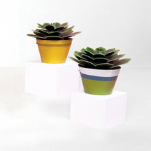 Load image into Gallery viewer, Make Your Own Mini Paper Succulent Plant