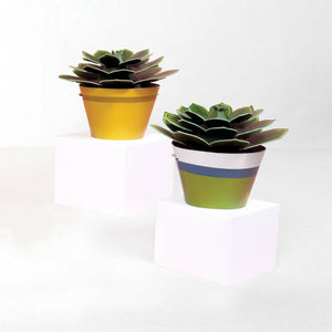 Make Your Own Mini Paper Succulent Plant