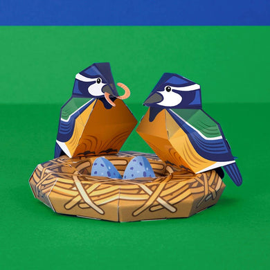 Create Your Own Beautiful Blue Tit Nest