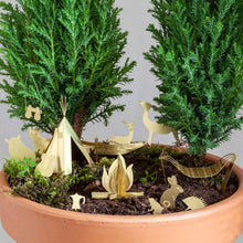 Load image into Gallery viewer, Tiny Camping for your plants