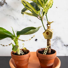 Load image into Gallery viewer, Tiny Birdhouse for your plants