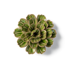 Load image into Gallery viewer, Ceramic Flower Olive Petunia