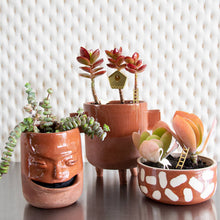Load image into Gallery viewer, Tiny Birdhouse for your plants
