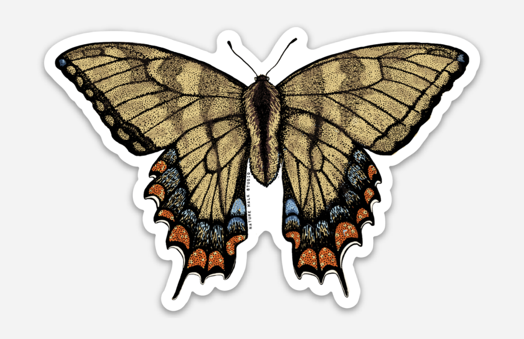 Swallowtail Butterfly Decal