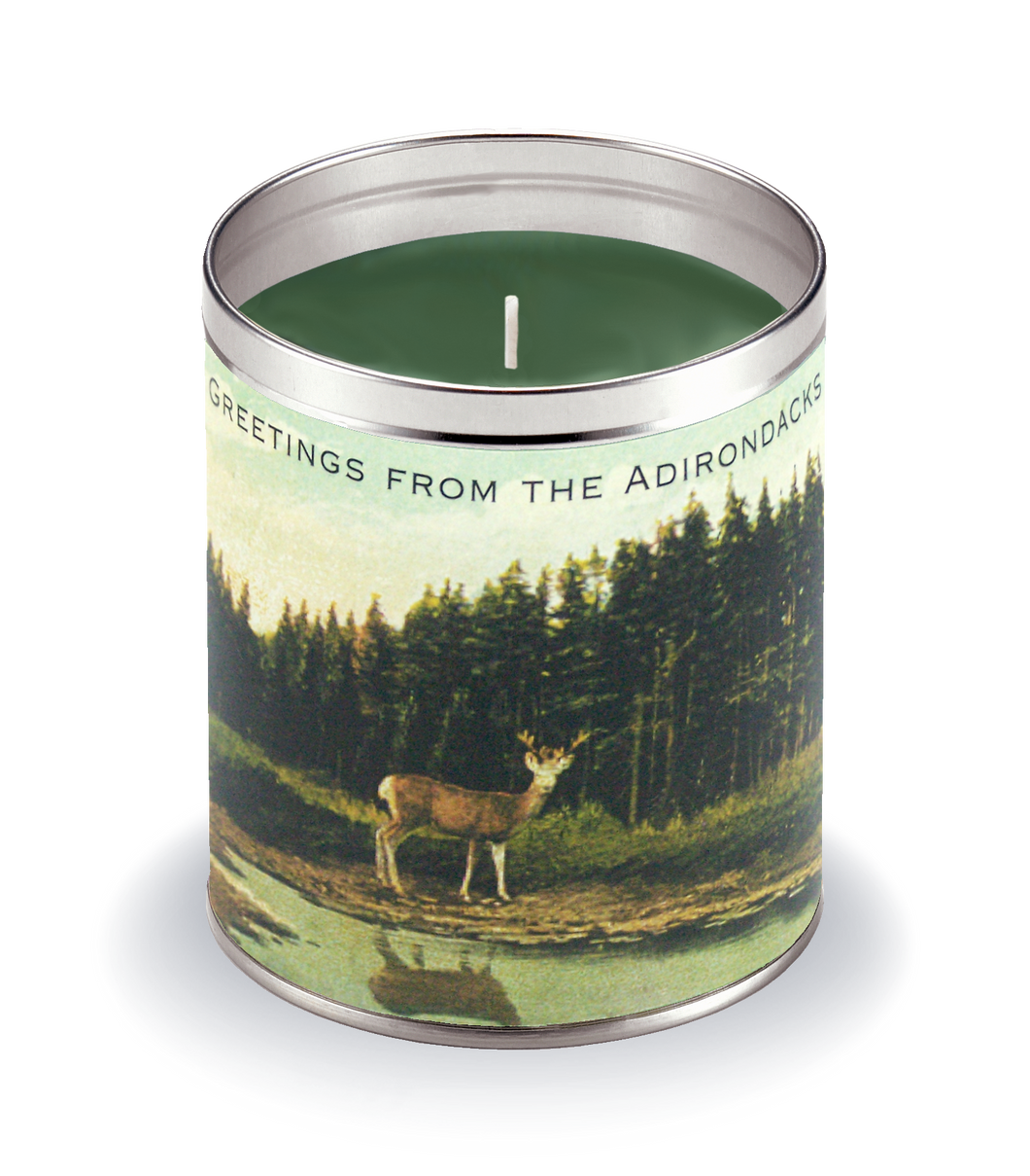 Adirondack Candle Grass
