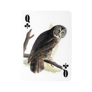 3-D Bird Playing Cards