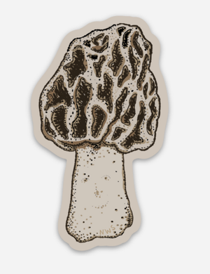 Morel Mushroom Sticker