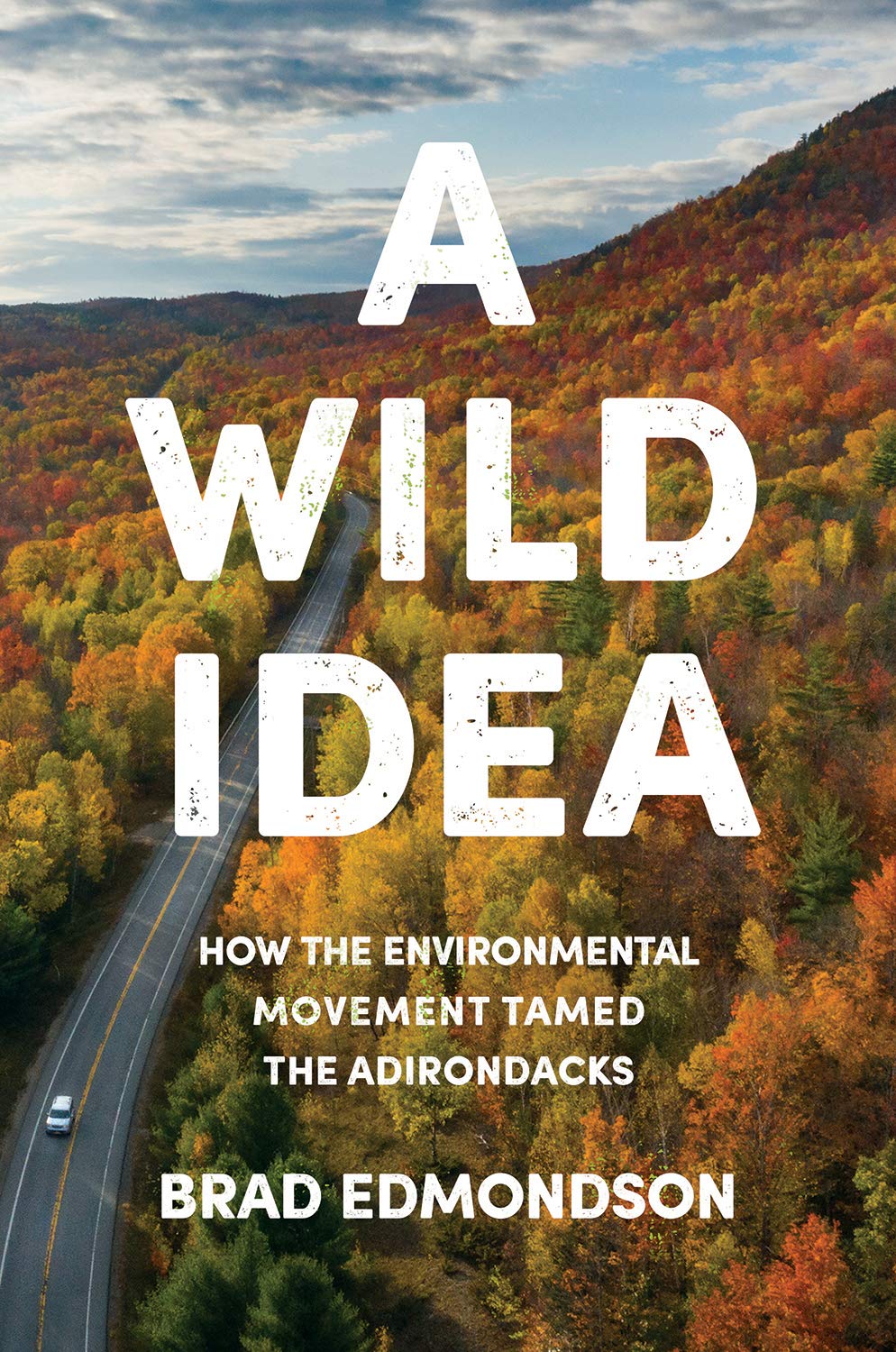 A Wild Idea Brad Edmondson