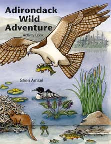 Adirondack Wild Adventure Activity Book