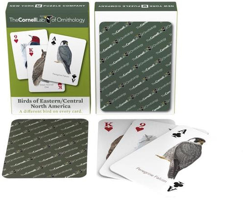 Birds of East/Central North America Playing Cards