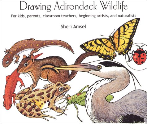 Drawing Adirondack Wildlife