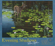 Load image into Gallery viewer, Evenings Shallows Puzzle