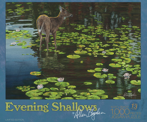 Evenings Shallows Puzzle