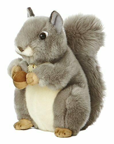 Grey Squirrel With Nut