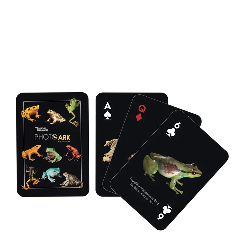 Amphibians Playing Cards