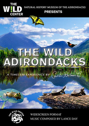 Wild Adirondacks DVD