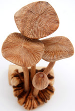 Load image into Gallery viewer, Carved Wood Mushrooms