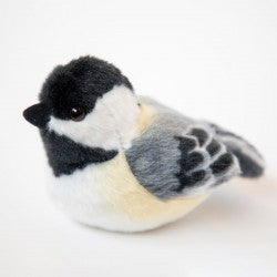 Audubon Sound Birds