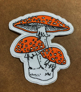 Amanita Muscaria Mushroom Patch