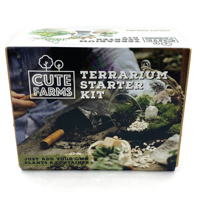 Terrarium Starter Kit