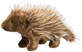 Porcupine (Percy)