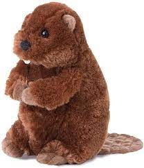 Beaver Plush (Buddy)