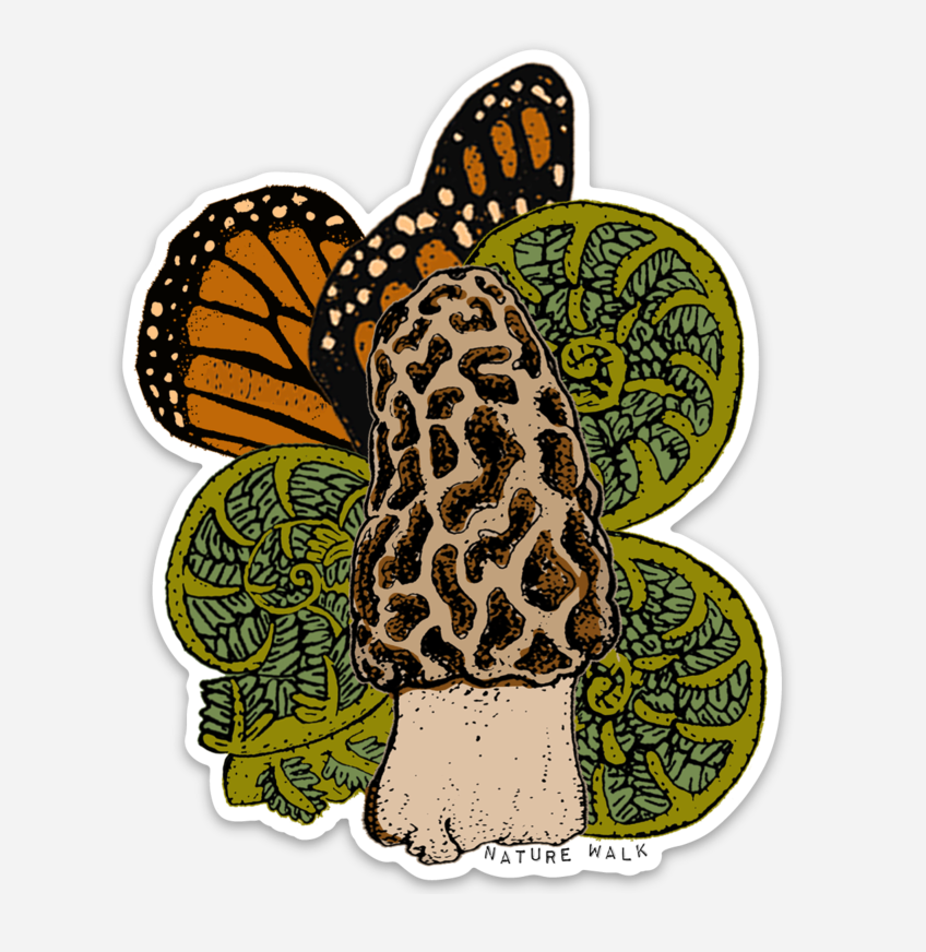 Morel Fiddlehead Butterfly Wing Decal