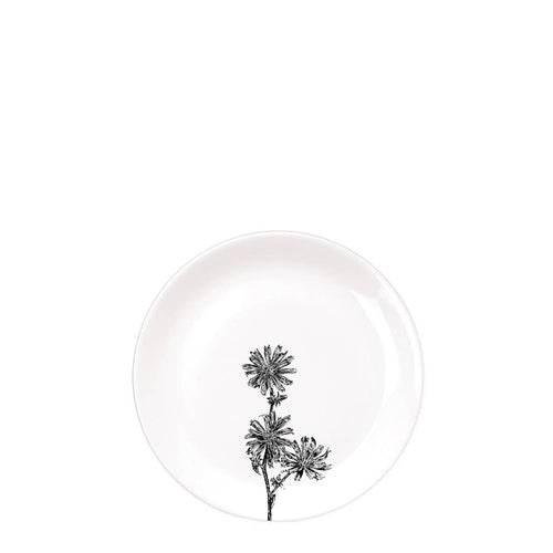 Wild Chicory Plate, 8